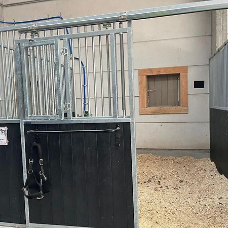 شقة T Klein Kasteeltje Wetteren المظهر الخارجي الصورة